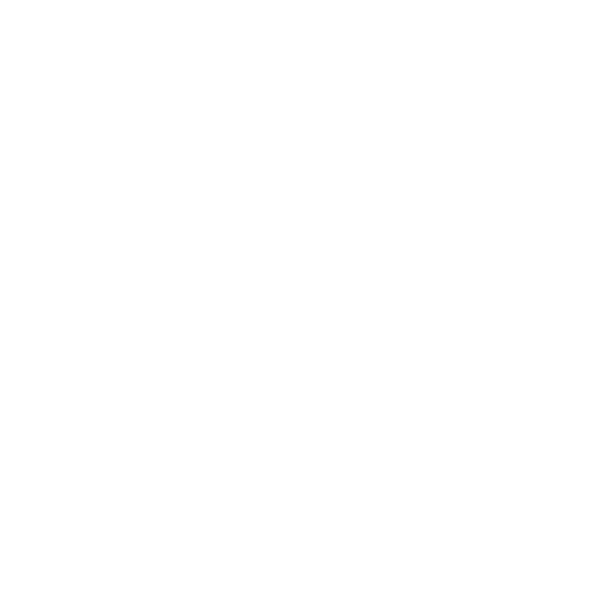Disc Break